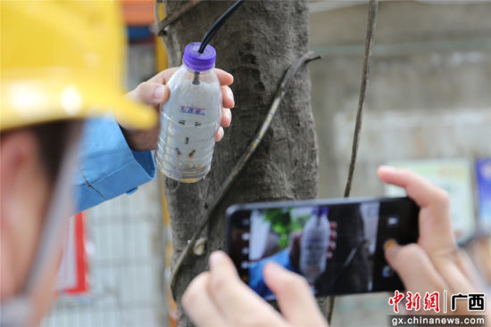 住戶為防止雨天插座漏電而套上的塑料瓶中積水明顯，存在漏電隱患。謝耘 攝